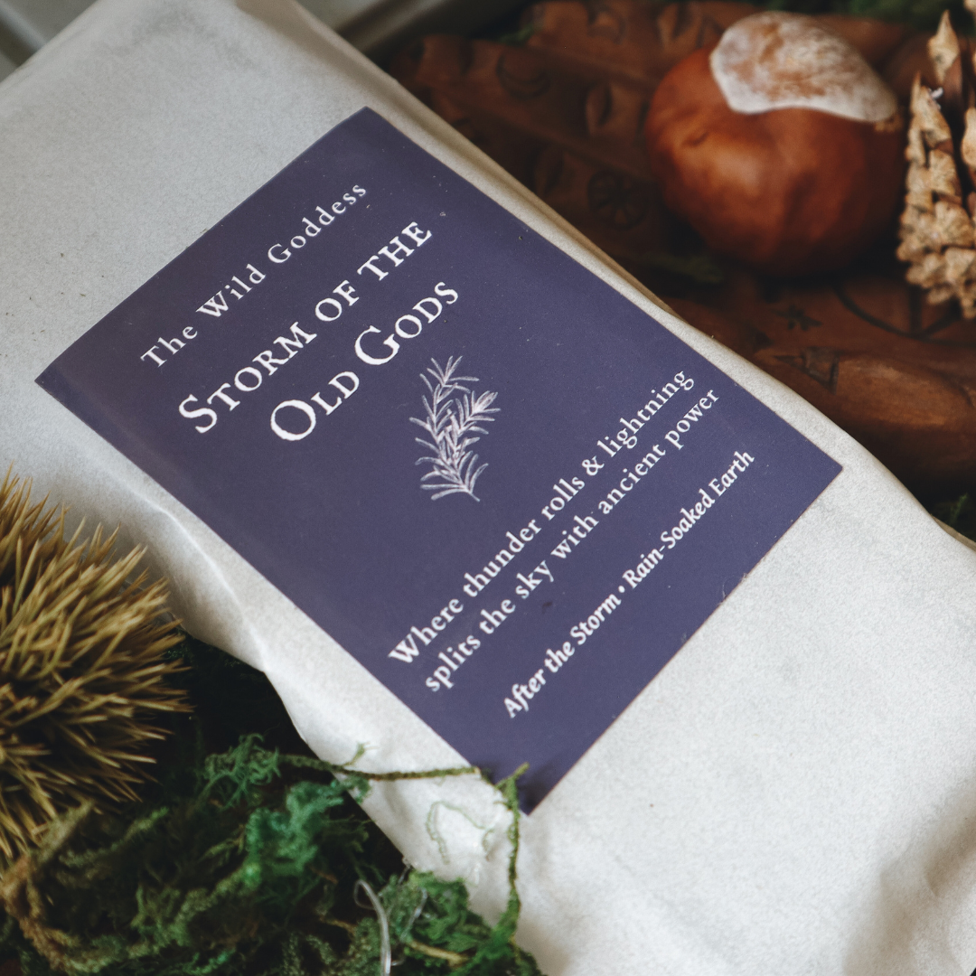 Storm of the Old Gods Wax Melt Snap Bar | Vegan Soy Wax Melts | Dark Earthy Home Fragrance