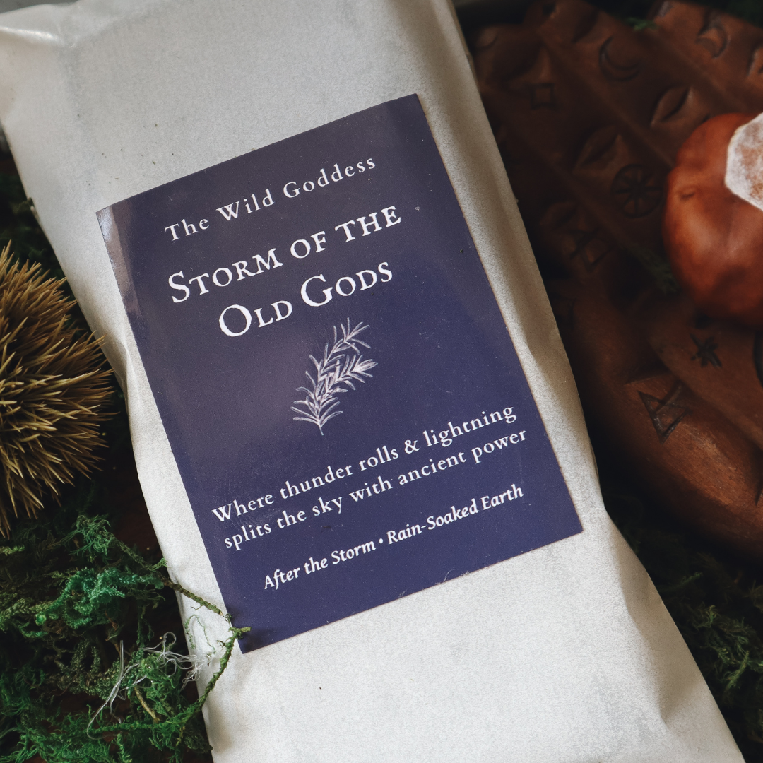 Storm of the Old Gods Wax Melt Snap Bar | Vegan Soy Wax Melts | Dark Earthy Home Fragrance