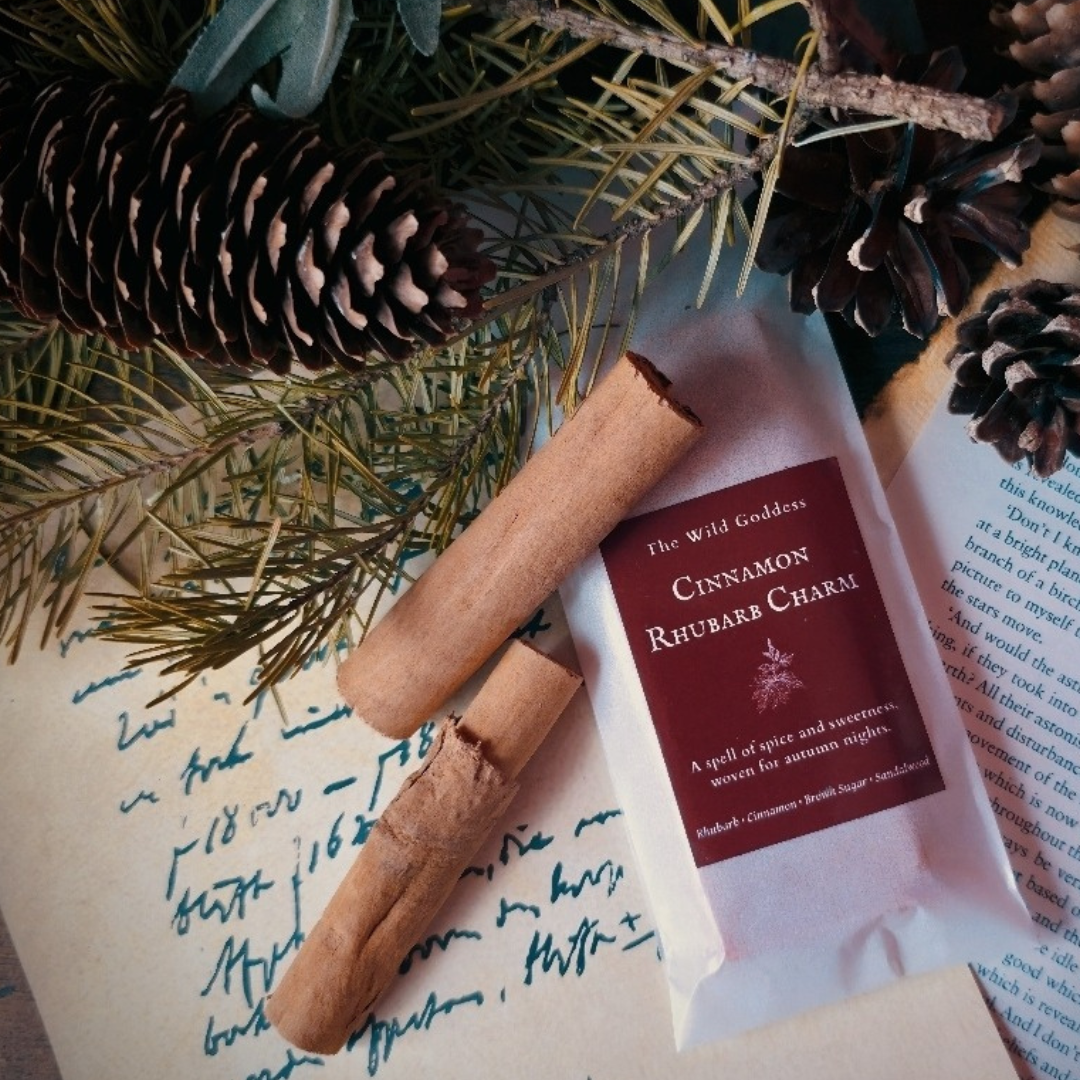 Cinnamon Rhubarb Charm Wax Melt Snap Bar | Spiced Rhubarb Soy Wax Melts | Autumn Folklore Home Fragrance