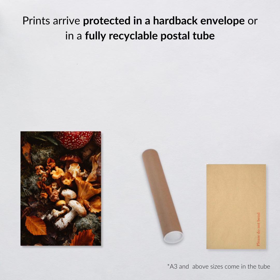 Woodland Mushroom Art Print – Enchanted Forest Fungi Wall Decor in Autumn Tones